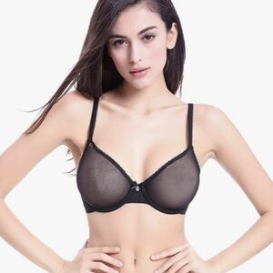 NWT Varsbaby Sheer Underwire Bra 34C